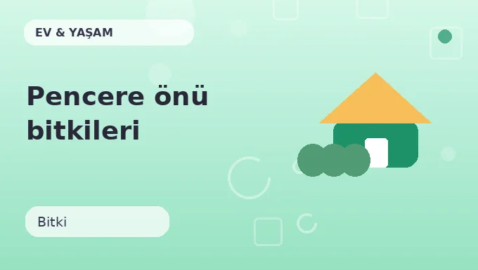 Pencere önü bitkileri