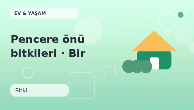 Pencere önü bitkileri · Bir adım ileri