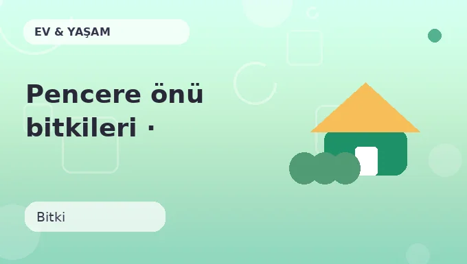 Pencere önü bitkileri · Birlikte yap