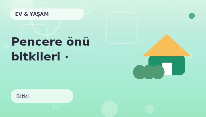 Pencere önü bitkileri · Yaratıcı sürüm